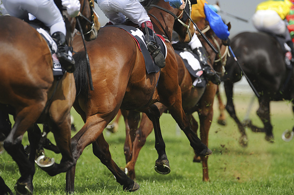 Horse Racing Horse Racing